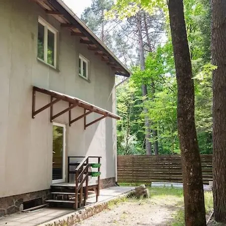 Pinewood Vilnius
